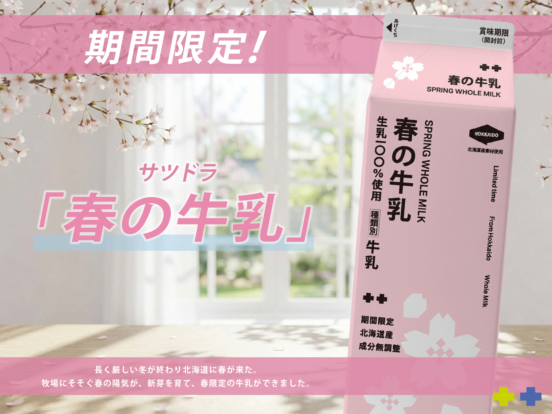 サツドラ　春の牛乳